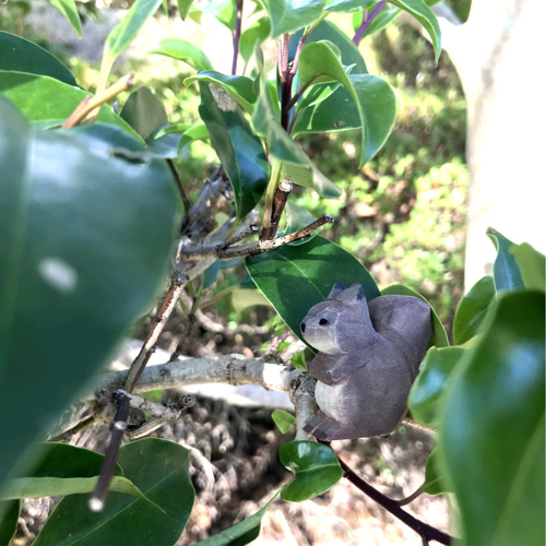 専用】リスの木彫 【専用】リスの木彫