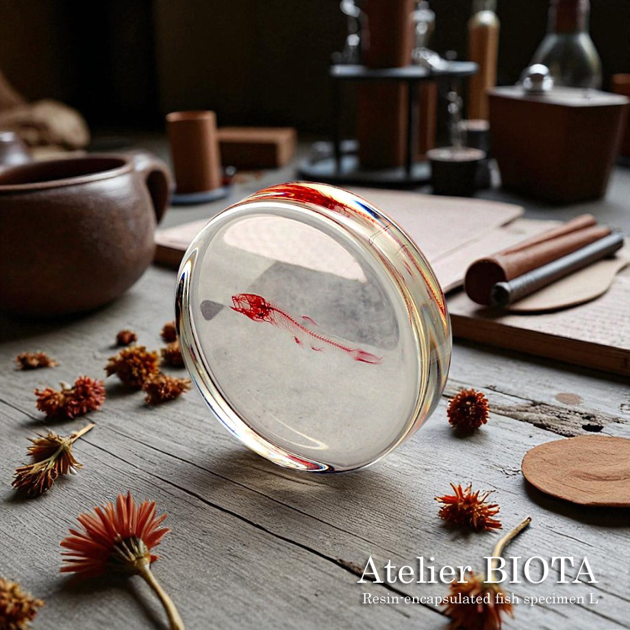 魚類単色染色樹脂封入標本 L (木製標本箱入り)