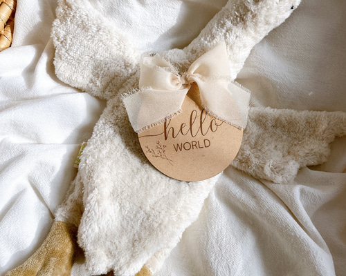 2a50671169c29290283e951a58efe6