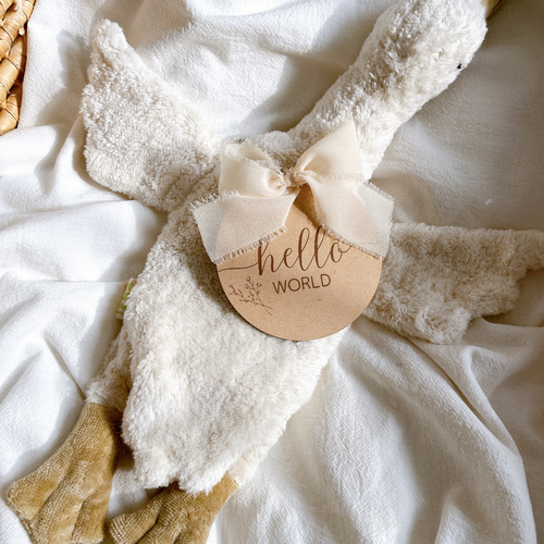 送料込] リボン レターバナー ハローワールド ジャストボーン ニュー