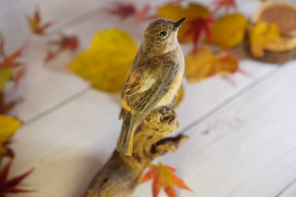 ＊野鳥＊羊毛フェルト ジョウビタキ(メス) 1枚目の画像