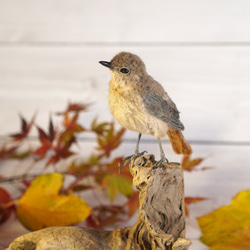 ＊野鳥＊羊毛フェルト ジョウビタキ(メス) 7枚目の画像