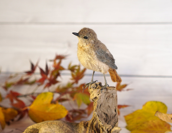 ＊野鳥＊羊毛フェルト ジョウビタキ(メス) 7枚目の画像