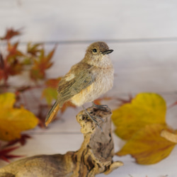 ＊野鳥＊羊毛フェルト ジョウビタキ(メス) 5枚目の画像