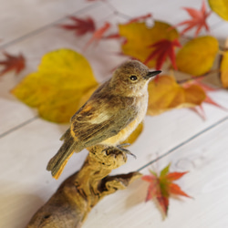 ＊野鳥＊羊毛フェルト ジョウビタキ(メス) 6枚目の画像