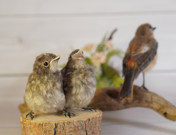 ＊野鳥＊羊毛フェルト ジョウビタキのひなA 8枚目の画像