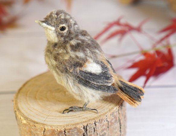 ＊野鳥＊羊毛フェルト ジョウビタキのひなA 5枚目の画像