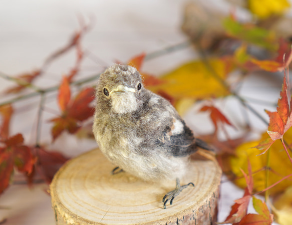 ＊野鳥＊羊毛フェルト ジョウビタキのひなA 2枚目の画像