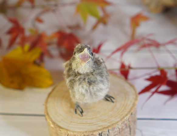 ＊野鳥＊羊毛フェルト ジョウビタキのひなB 2枚目の画像