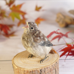 野鳥＊羊毛フェルト サンコウチョウ【ペア】（ミニサイズ） 羊毛