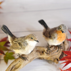 ＊野鳥＊羊毛フェルト ニシオジロビタキ(オス) 7枚目の画像