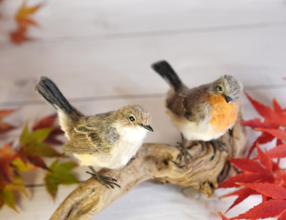 ＊野鳥＊羊毛フェルト ニシオジロビタキ(オス) 7枚目の画像