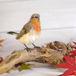 ＊野鳥＊羊毛フェルト ニシオジロビタキ(オス) 4枚目の画像