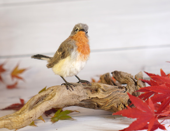 ＊野鳥＊羊毛フェルト ニシオジロビタキ(オス) 4枚目の画像