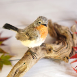 ＊野鳥＊羊毛フェルト ニシオジロビタキ(オス) 5枚目の画像