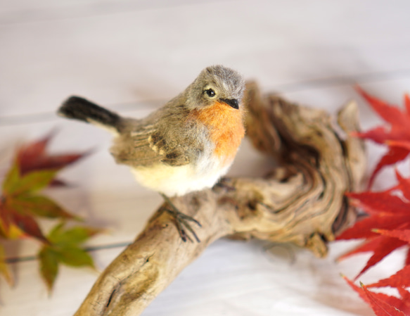 ＊野鳥＊羊毛フェルト ニシオジロビタキ(オス) 5枚目の画像