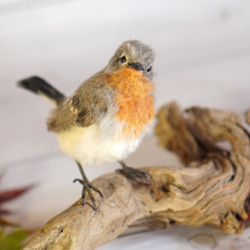 ＊野鳥＊羊毛フェルト ニシオジロビタキ(オス) 6枚目の画像