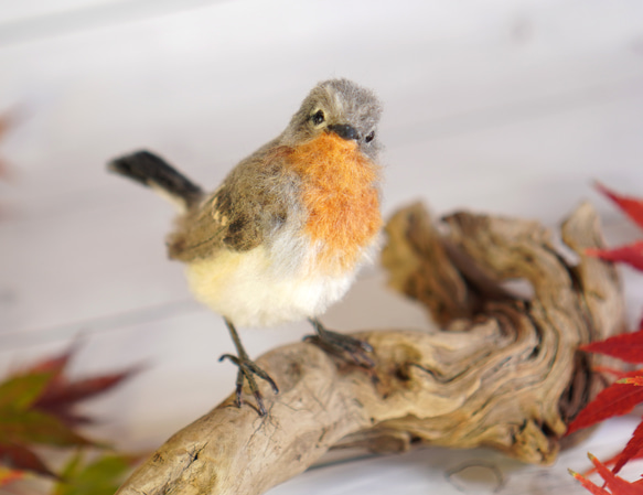 ＊野鳥＊羊毛フェルト ニシオジロビタキ(オス) 6枚目の画像