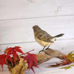 ＊野鳥＊羊毛フェルト ニシオジロビタキ(オス) 3枚目の画像
