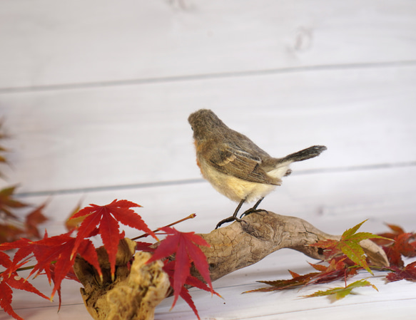 ＊野鳥＊羊毛フェルト ニシオジロビタキ(オス) 3枚目の画像