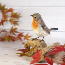 ＊野鳥＊羊毛フェルト ニシオジロビタキ(オス) 2枚目の画像
