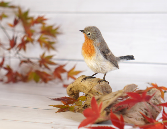 ＊野鳥＊羊毛フェルト ニシオジロビタキ(オス) 2枚目の画像