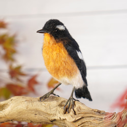 ＊野鳥＊羊毛フェルト ムギマキ(オス) 3枚目の画像