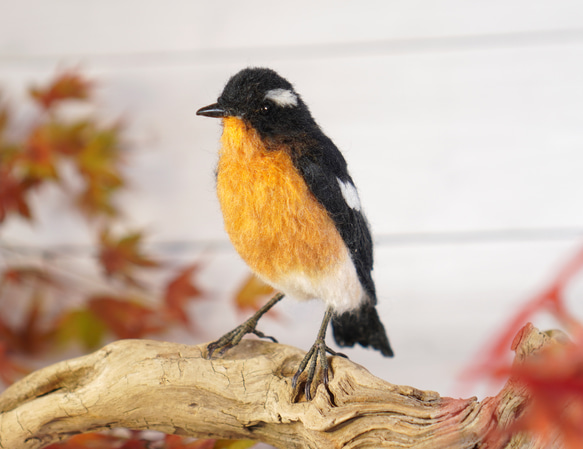 ＊野鳥＊羊毛フェルト ムギマキ(オス) 3枚目の画像