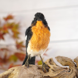 ＊野鳥＊羊毛フェルト ムギマキ(オス) 5枚目の画像