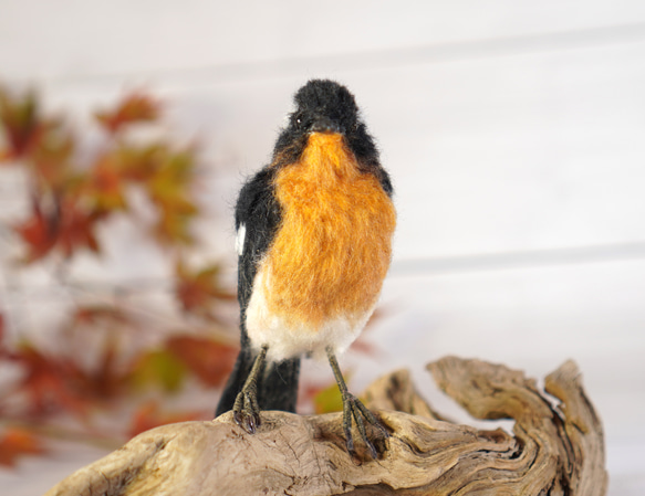 ＊野鳥＊羊毛フェルト ムギマキ(オス) 5枚目の画像