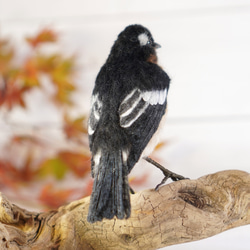 ＊野鳥＊羊毛フェルト ムギマキ(オス) 6枚目の画像
