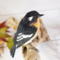 ＊野鳥＊羊毛フェルト ムギマキ(オス) 2枚目の画像