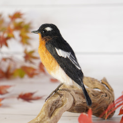 ＊野鳥＊羊毛フェルト ムギマキ(オス) 7枚目の画像