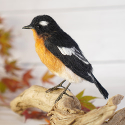 ＊野鳥＊羊毛フェルト ムギマキ(オス) 4枚目の画像