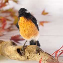 ＊野鳥＊羊毛フェルト ムギマキ(オス) 9枚目の画像