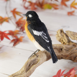 ＊野鳥＊羊毛フェルト ムギマキ(オス) 8枚目の画像