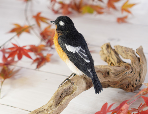 ＊野鳥＊羊毛フェルト ムギマキ(オス) 8枚目の画像