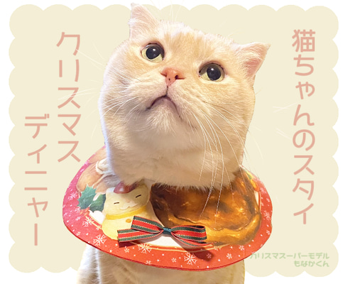 17e37450917c0f03b7bacc344cd23c