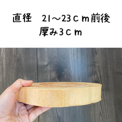 皮無しヒノキの輪切り 直径10cm前後 厚み1cm 木材・板 切り株べ