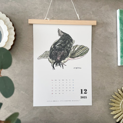 淡水魚だけのカレンダー　2026に変更可能 12枚目の画像