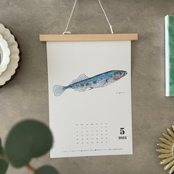 淡水魚だけのカレンダー　2026に変更可能 8枚目の画像