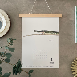 淡水魚だけのカレンダー　2026に変更可能 4枚目の画像