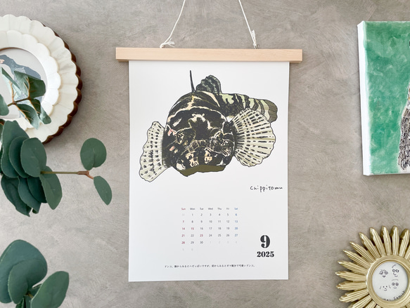 淡水魚だけのカレンダー　2026に変更可能 11枚目の画像