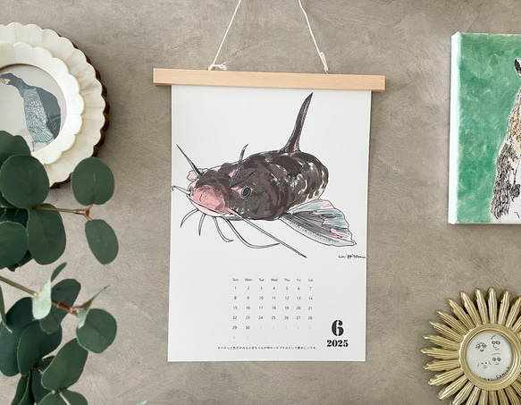 淡水魚だけのカレンダー　2026に変更可能 9枚目の画像