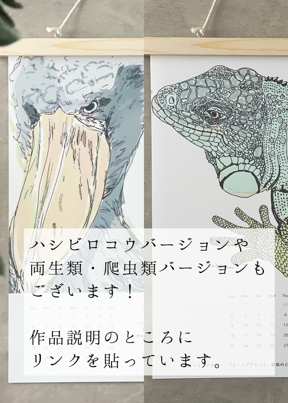 淡水魚だけのカレンダー　2026に変更可能 15枚目の画像