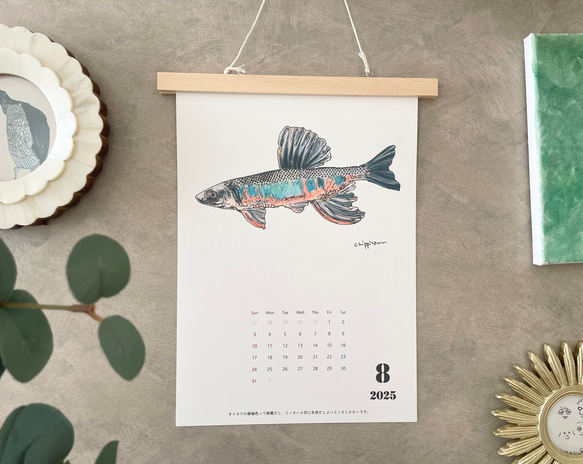 淡水魚だけのカレンダー　2026に変更可能 1枚目の画像