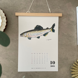 淡水魚だけのカレンダー　2026に変更可能 13枚目の画像