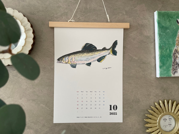 淡水魚だけのカレンダー　2026に変更可能 13枚目の画像