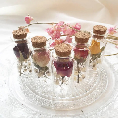 ドライフラワー❇️ミニバラ 長め❣️ Amazon | ドライフラワー ミニバラ ヘッド 2色セット | 花材