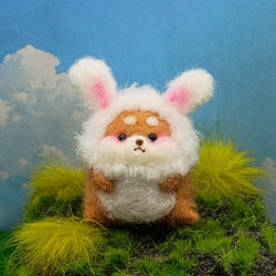 羊毛フェルト ウサギ 、柴犬ちゃん ご予約品】羊毛フェルト お風呂がかわいい茶柴 羊毛フェルト 秋都 通販
